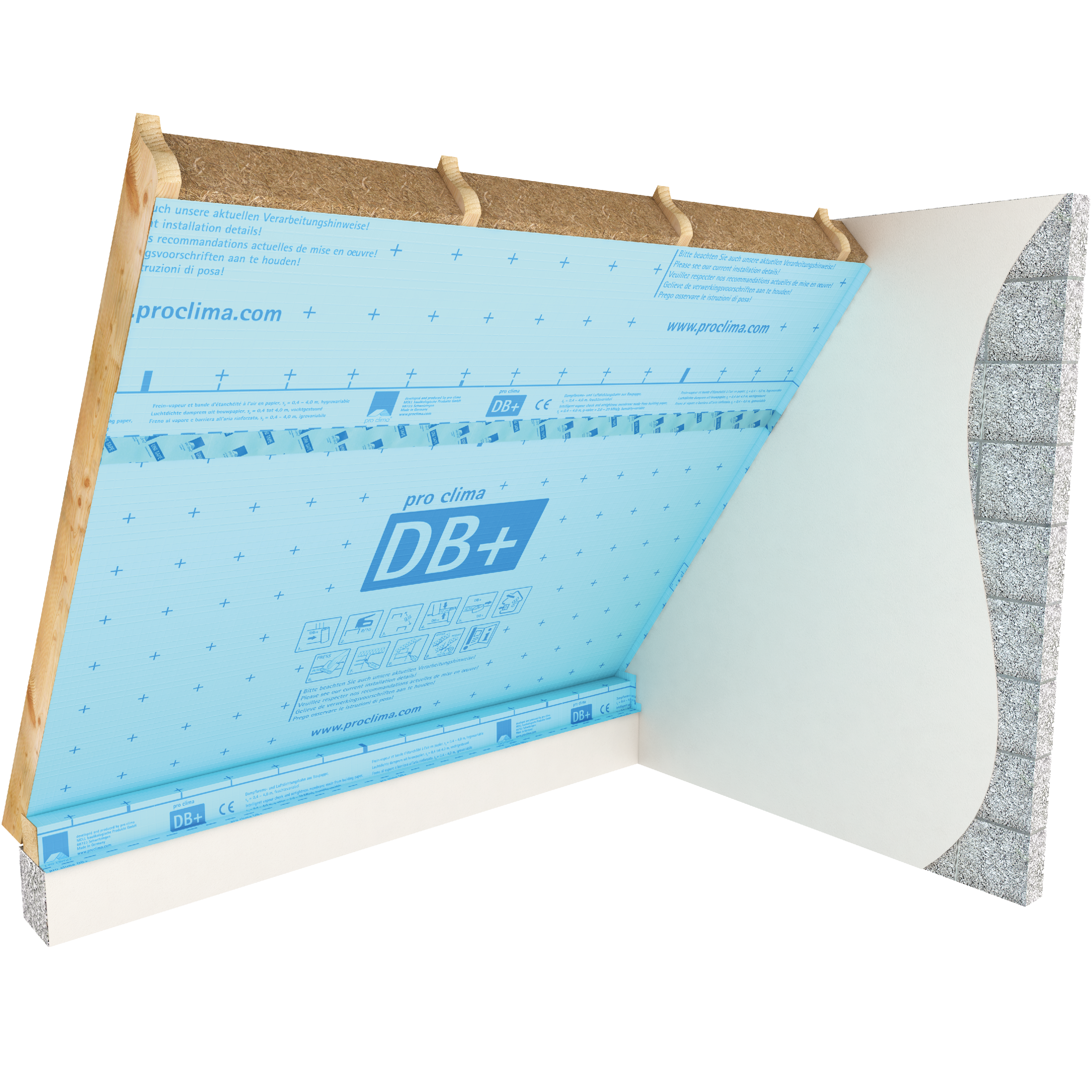 DB+